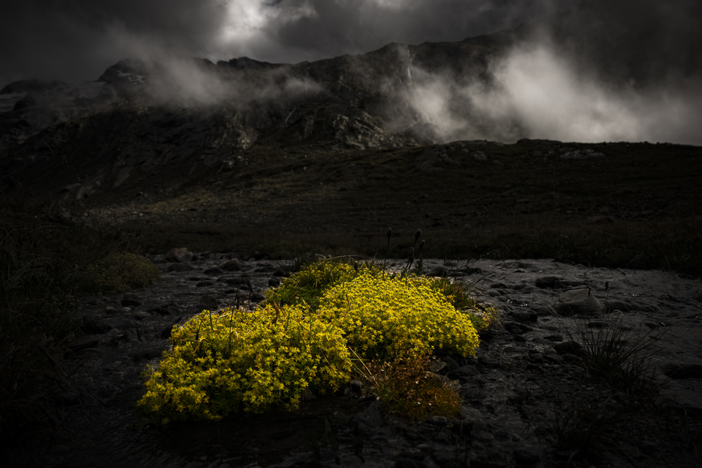 Monatsbilder Oktober 2025